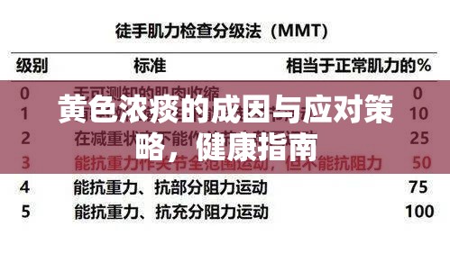 黃色濃痰的成因與應(yīng)對(duì)策略，健康指南