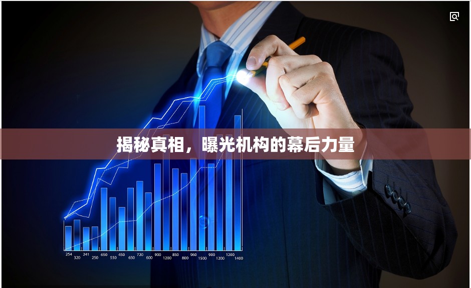 揭秘真相，曝光機(jī)構(gòu)的幕后力量