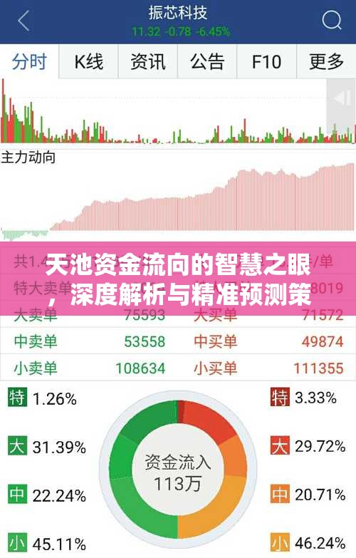 天池資金流向的智慧之眼，深度解析與精準(zhǔn)預(yù)測(cè)策略