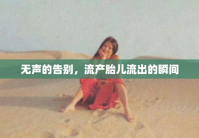 無聲的告別，流產(chǎn)胎兒流出的瞬間