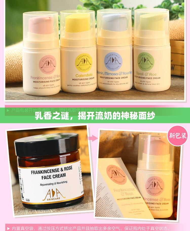 乳香之謎，揭開流奶的神秘面紗