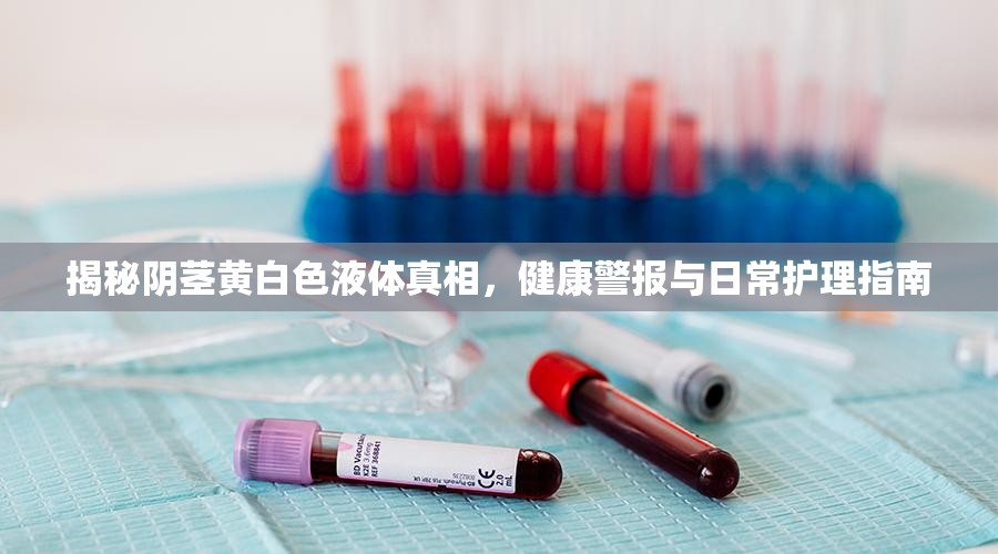揭秘陰莖黃白色液體真相，健康警報(bào)與日常護(hù)理指南