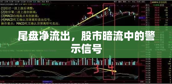 尾盤凈流出，股市暗流中的警示信號(hào)