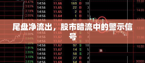尾盤凈流出，股市暗流中的警示信號(hào)