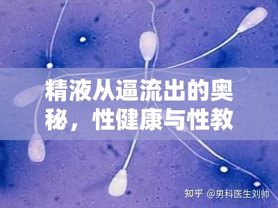精液從逼流出的奧秘，性健康與性教育的誤解與真相