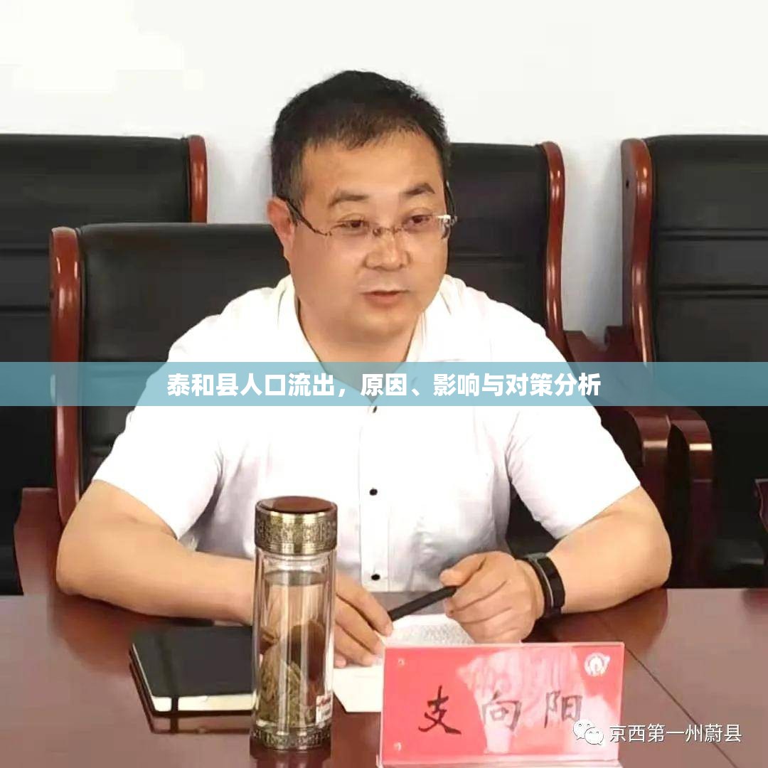 泰和縣人口流出，原因、影響與對策分析