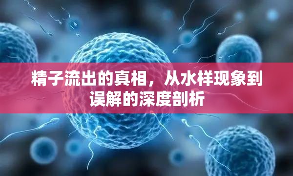 精子流出的真相，從水樣現(xiàn)象到誤解的深度剖析