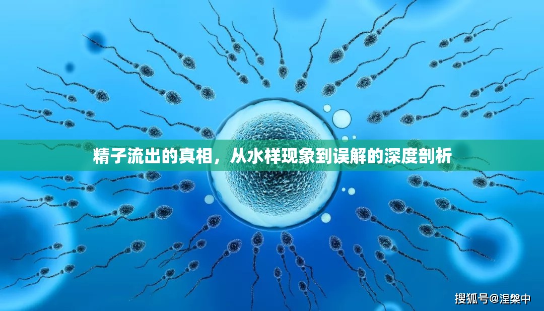 精子流出的真相，從水樣現(xiàn)象到誤解的深度剖析