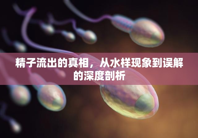 精子流出的真相，從水樣現(xiàn)象到誤解的深度剖析