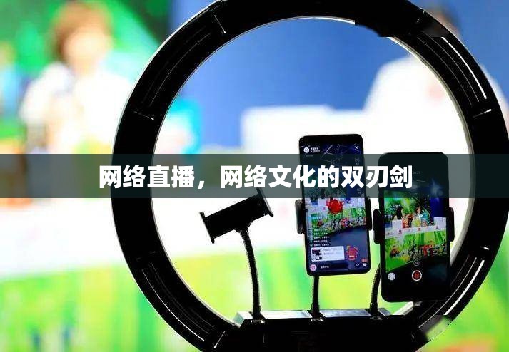網(wǎng)絡(luò)直播，網(wǎng)絡(luò)文化的雙刃劍