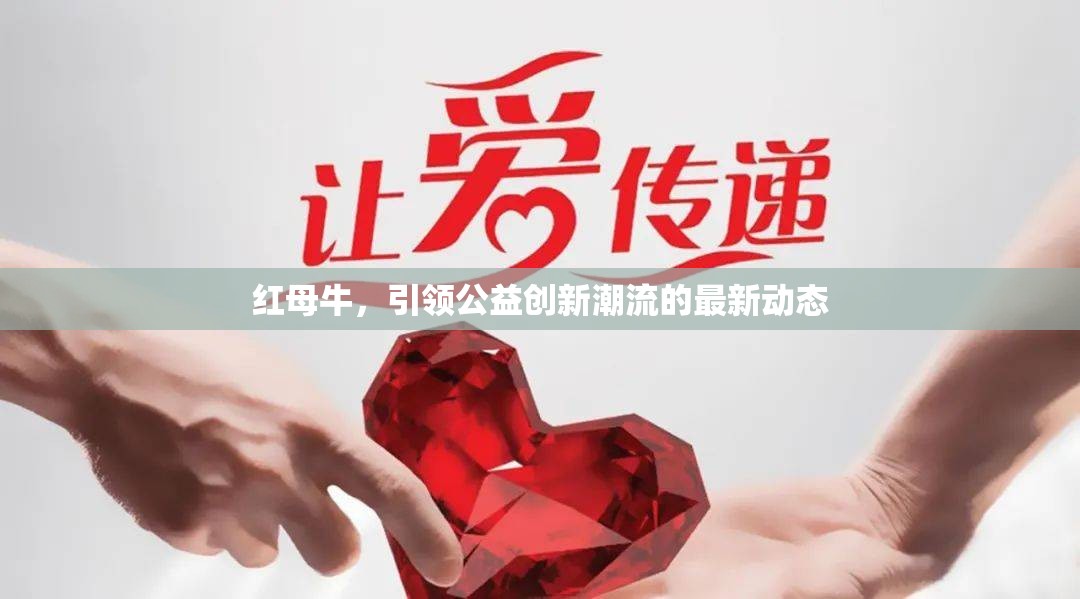紅母牛，引領(lǐng)公益創(chuàng)新潮流的最新動態(tài)