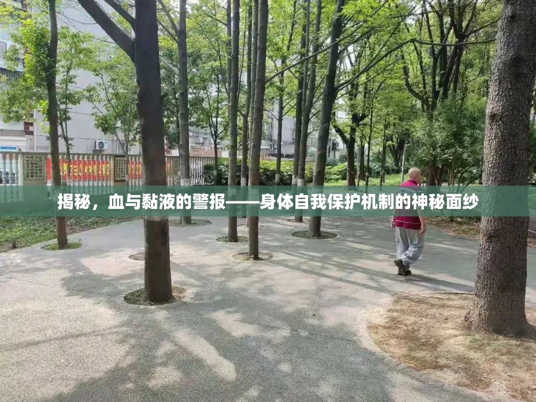 揭秘，血與黏液的警報(bào)——身體自我保護(hù)機(jī)制的神秘面紗