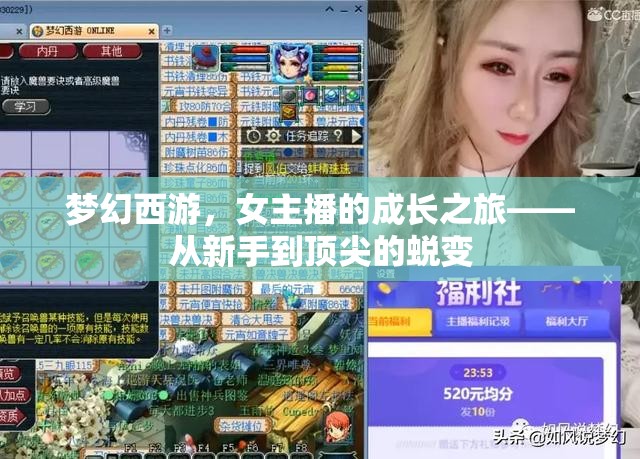 夢(mèng)幻西游，女主播的成長(zhǎng)之旅——從新手到頂尖的蛻變