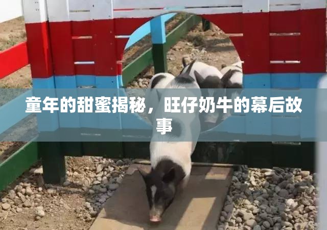 童年的甜蜜揭秘，旺仔奶牛的幕后故事