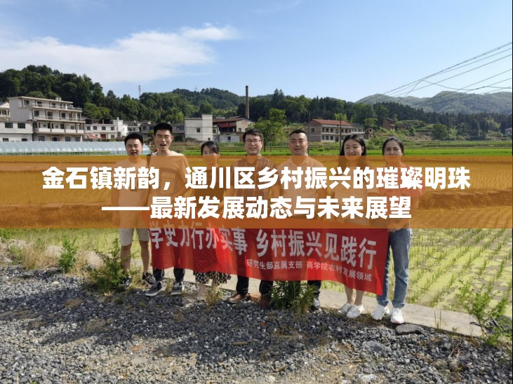 金石鎮(zhèn)新韻，通川區(qū)鄉(xiāng)村振興的璀璨明珠——最新發(fā)展動態(tài)與未來展望