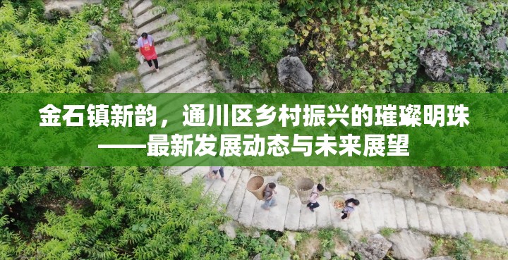 金石鎮(zhèn)新韻，通川區(qū)鄉(xiāng)村振興的璀璨明珠——最新發(fā)展動態(tài)與未來展望