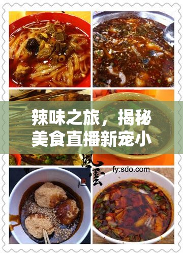 辣味之旅，揭秘美食直播新寵小辣椒的吃辣火鍋魅力