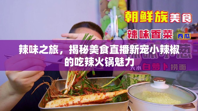 辣味之旅，揭秘美食直播新寵小辣椒的吃辣火鍋魅力