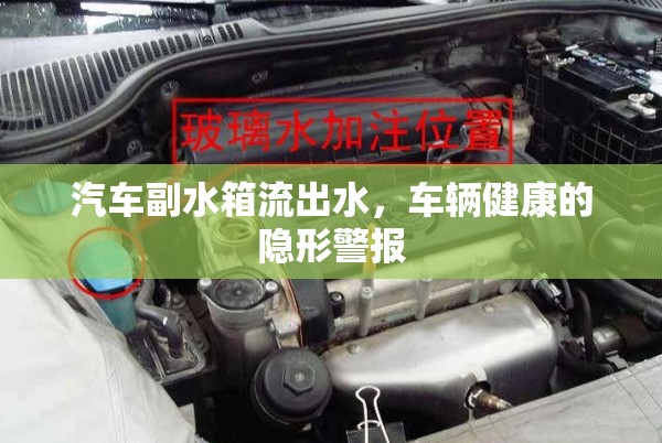 汽車副水箱流出水，車輛健康的隱形警報