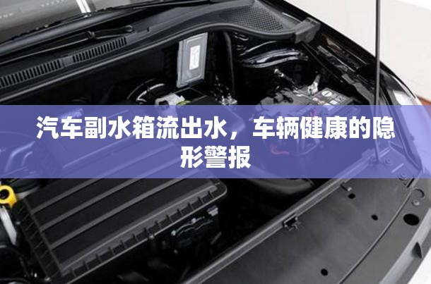 汽車副水箱流出水，車輛健康的隱形警報