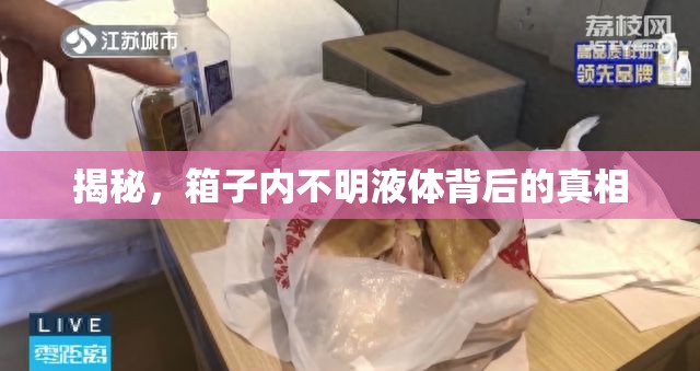 揭秘，箱子內不明液體背后的真相