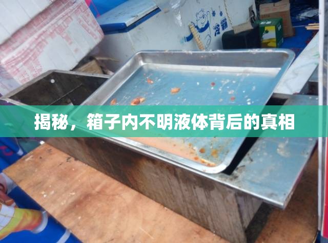 揭秘，箱子內不明液體背后的真相