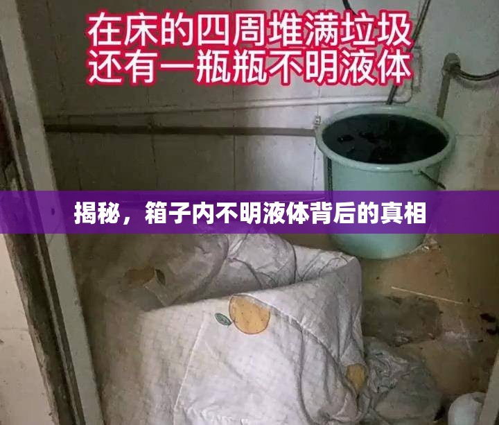 揭秘，箱子內不明液體背后的真相