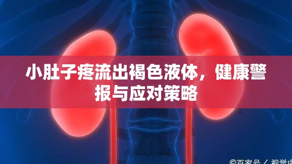 小肚子疼流出褐色液體，健康警報與應(yīng)對策略