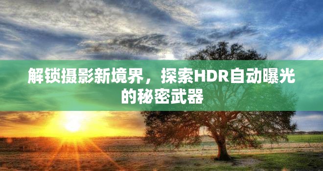 解鎖攝影新境界，探索HDR自動(dòng)曝光的秘密武器