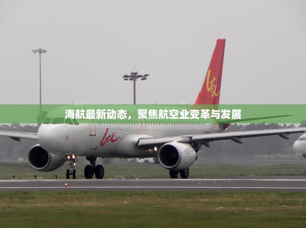 海航最新動(dòng)態(tài)，聚焦航空業(yè)變革與發(fā)展