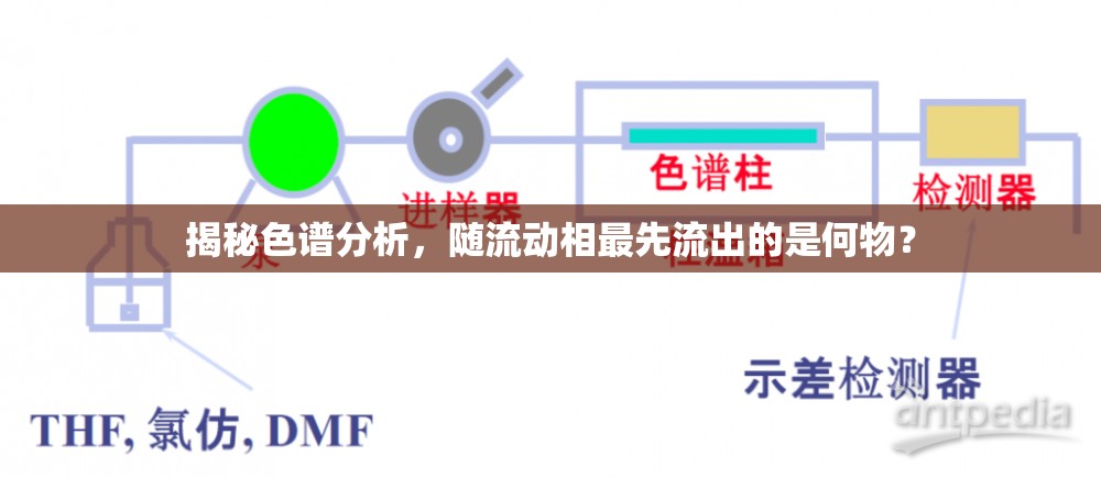 揭秘色譜分析，隨流動(dòng)相最先流出的是何物？