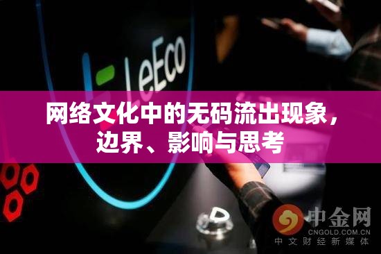 網(wǎng)絡(luò)文化中的無碼流出現(xiàn)象，邊界、影響與思考