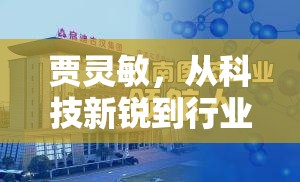 賈靈敏，從科技新銳到行業(yè)領(lǐng)航者的最新動態(tài)與未來展望