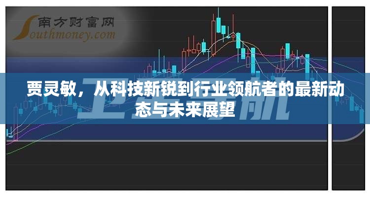 賈靈敏，從科技新銳到行業(yè)領(lǐng)航者的最新動態(tài)與未來展望