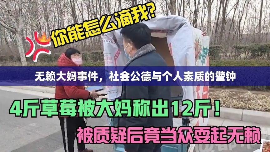無賴大媽事件，社會(huì)公德與個(gè)人素質(zhì)的警鐘
