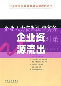 企業(yè)資源流出，現(xiàn)狀、影響及應(yīng)對策略