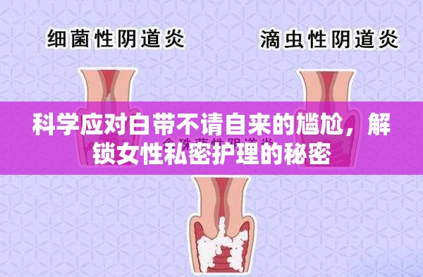 科學(xué)應(yīng)對(duì)白帶不請(qǐng)自來(lái)的尷尬，解鎖女性私密護(hù)理的秘密