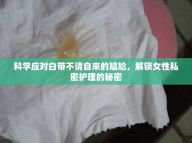 科學(xué)應(yīng)對(duì)白帶不請(qǐng)自來(lái)的尷尬，解鎖女性私密護(hù)理的秘密