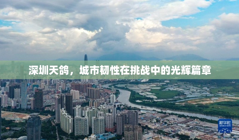 深圳天鴿，城市韌性在挑戰(zhàn)中的光輝篇章