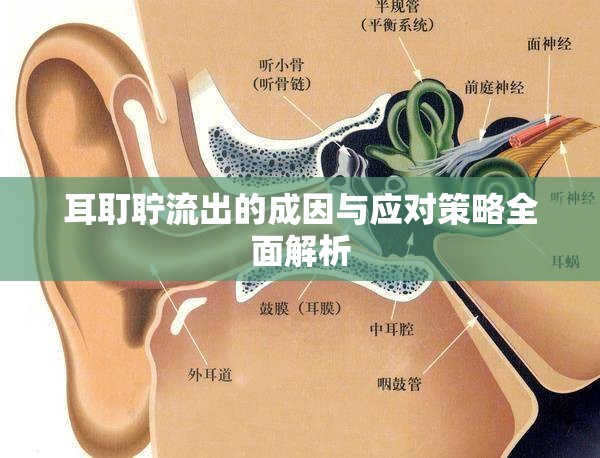 耳耵聹流出的成因與應對策略全面解析