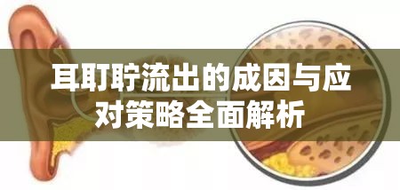 耳耵聹流出的成因與應對策略全面解析