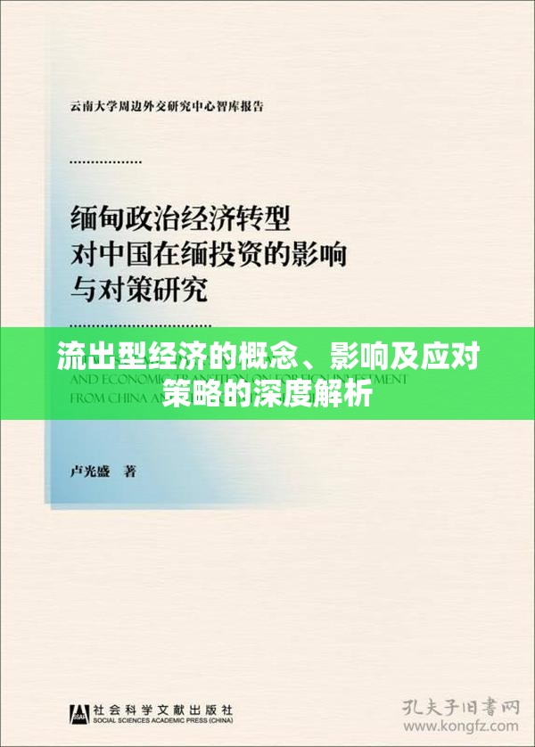 流出型經(jīng)濟(jì)的概念、影響及應(yīng)對(duì)策略的深度解析