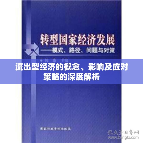 流出型經(jīng)濟(jì)的概念、影響及應(yīng)對(duì)策略的深度解析