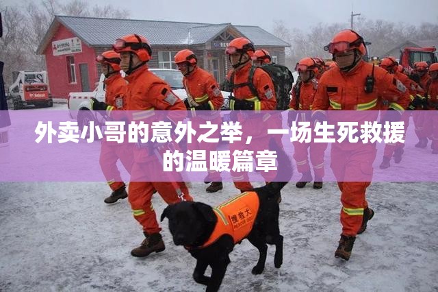 外賣小哥的意外之舉，一場(chǎng)生死救援的溫暖篇章