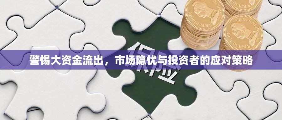 警惕大資金流出，市場隱憂與投資者的應(yīng)對(duì)策略