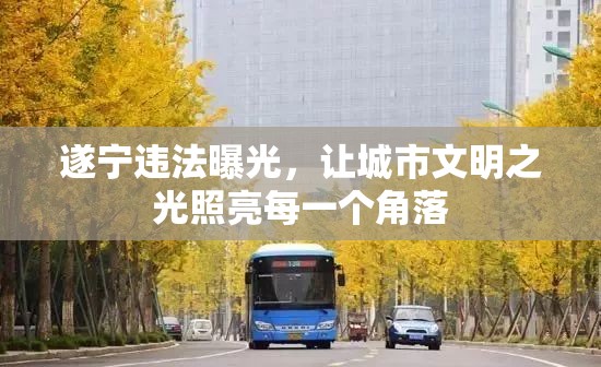 遂寧違法曝光，讓城市文明之光照亮每一個(gè)角落