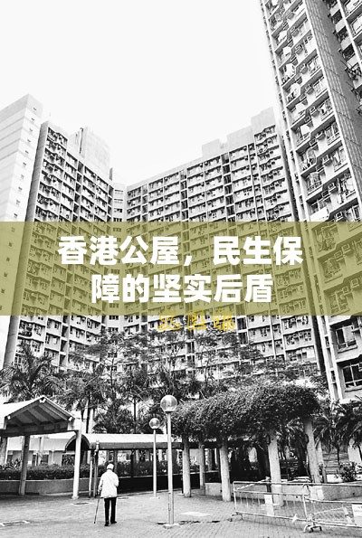 香港公屋，民生保障的堅實后盾