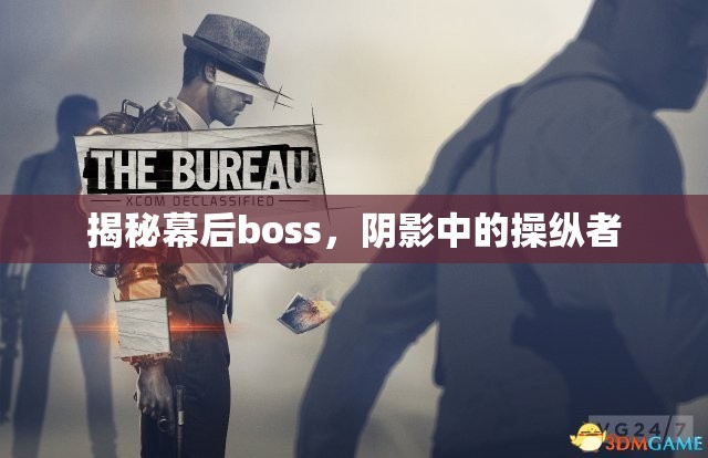 揭秘幕后boss，陰影中的操縱者