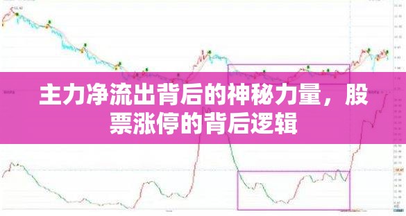 主力凈流出背后的神秘力量，股票漲停的背后邏輯