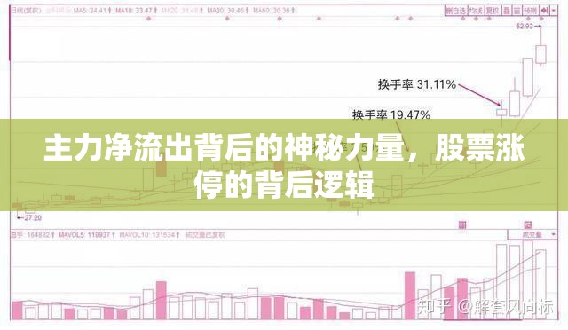 主力凈流出背后的神秘力量，股票漲停的背后邏輯